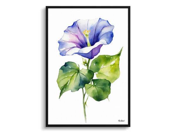 watercolour botanical print flowers morning glory minimalist front view