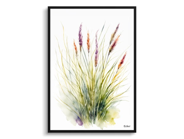 watercolour botanical print flowers muhlenbergia capillaris hairawn muhly minimalist front view