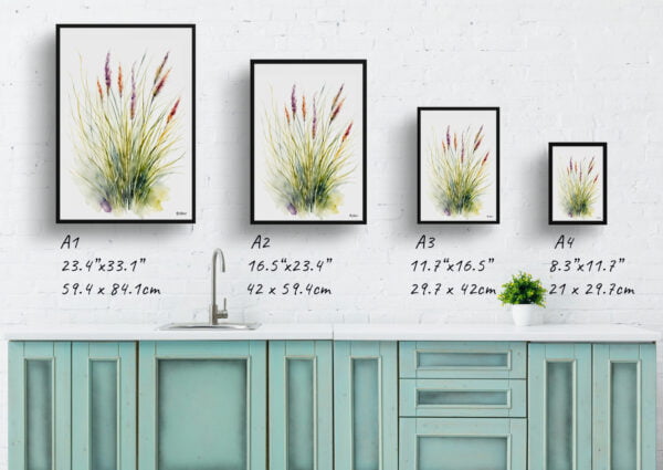 watercolour botanical print flowers muhlenbergia capillaris hairawn muhly minimalist print size comparison