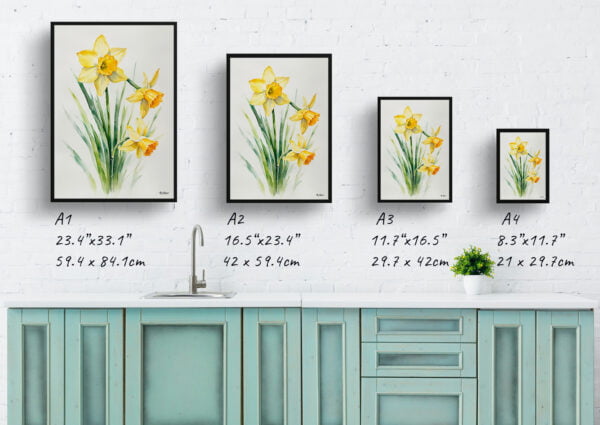 watercolour botanical print flowers narcissus hawera minimalist print size comparison