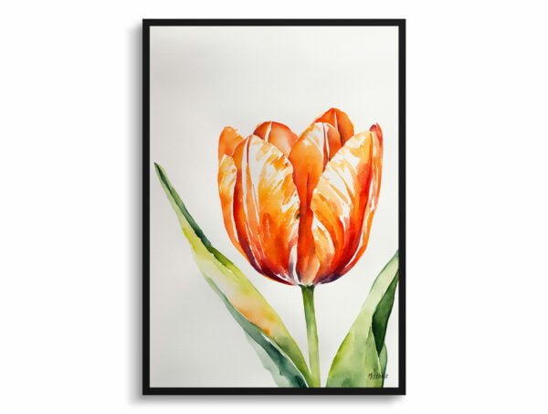 watercolour botanical print flowers orange tulip front view