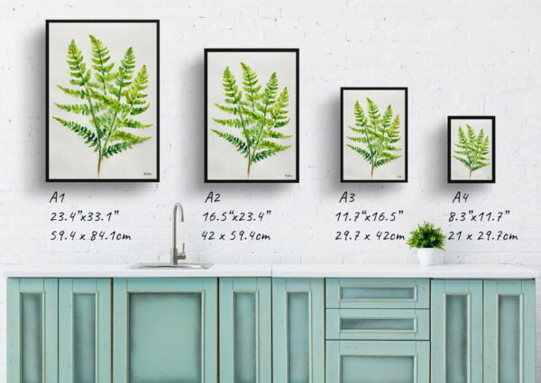 watercolour botanical print flowers osmunda regalis royal fern minimalist print size comparison