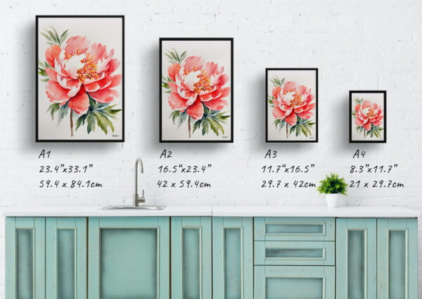 watercolour botanical print flowers peony minimalist print size comparison