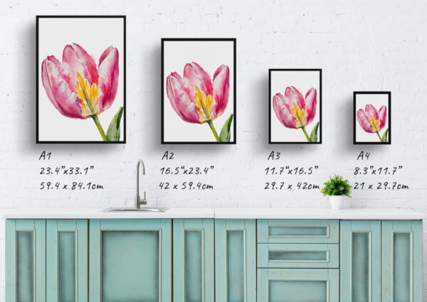 watercolour botanical print flowers pink tulip minimalist print size comparison