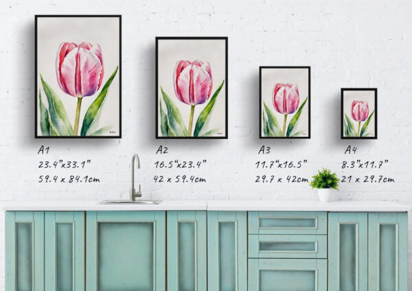 watercolour botanical print flowers pink tulip print size comparison