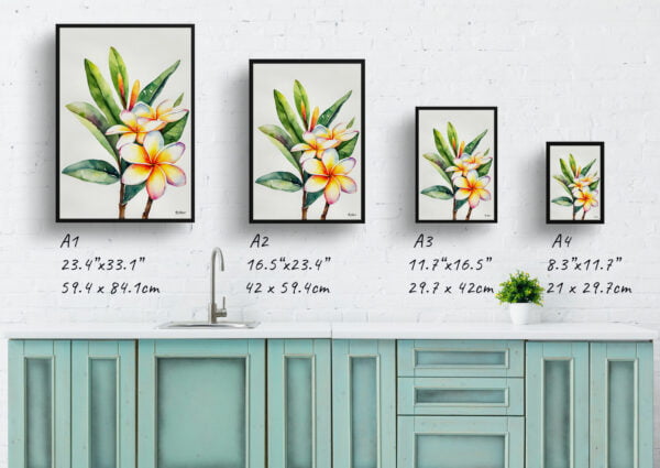 watercolour botanical print flowers plumeria minimalist print size comparison