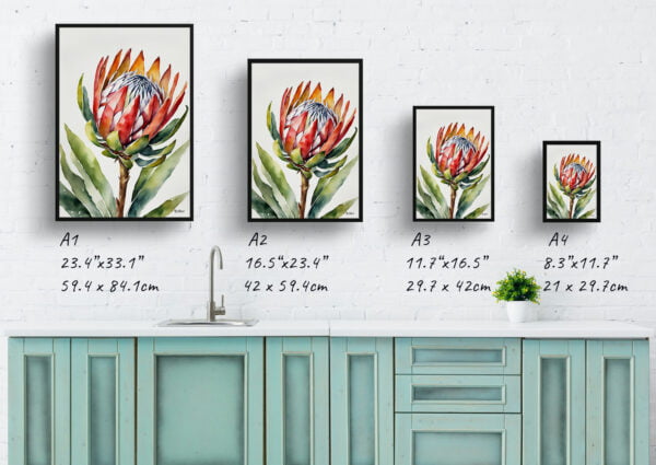 watercolour botanical print flowers proteas minimalist print size comparison