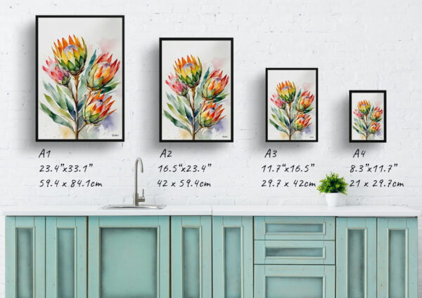 watercolour botanical print flowers proteas print size comparison