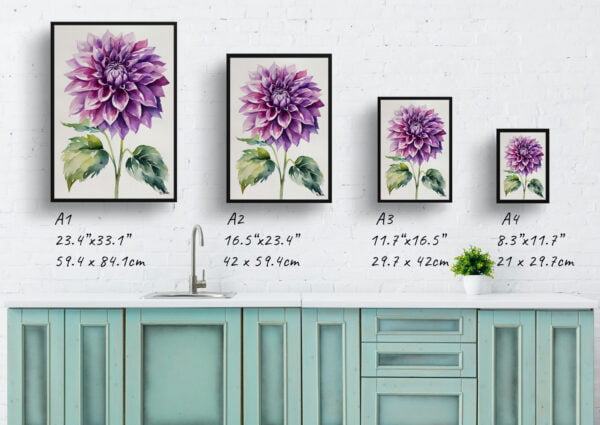 watercolour botanical print flowers purple dahlia minimalist print size comparison