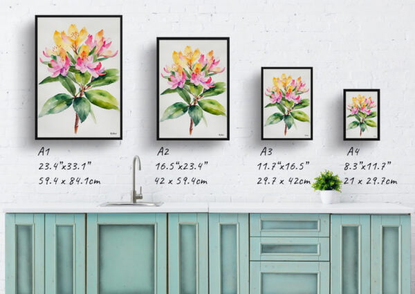 watercolour botanical print flowers rhododendron minimalist print size comparison