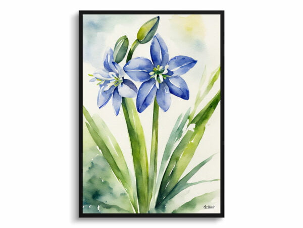 watercolour botanical print flowers scilla bifolia front view