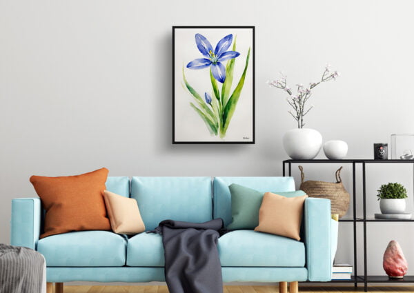 watercolour botanical print flowers scilla bifolia minimalist living room