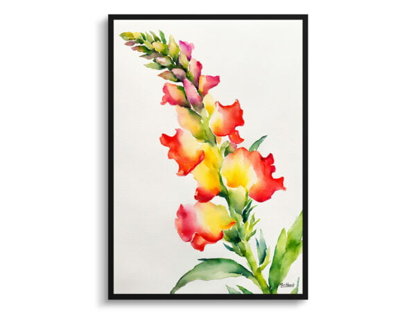 watercolour botanical print flowers snapdragon minimalist front view