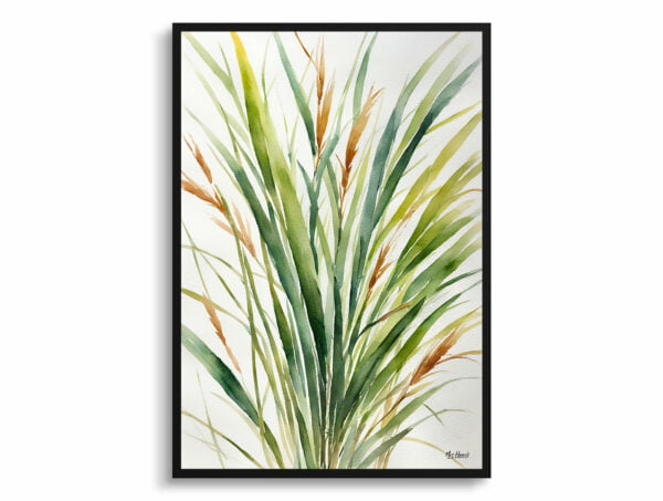 watercolour botanical print flowers stipa ichu peruvian feather grass minimalist front view