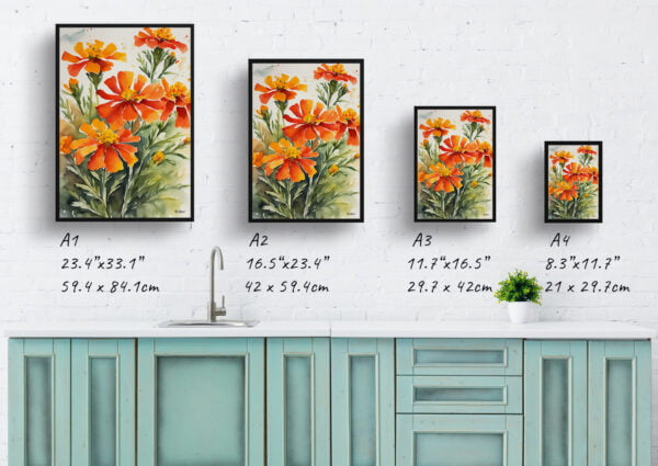 watercolour botanical print flowers tagetes cinnabar print size comparison