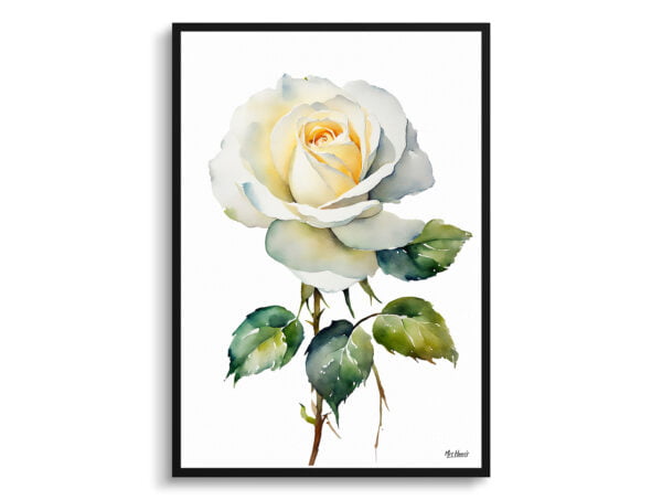 watercolour botanical print flowers white rose minimalist front view