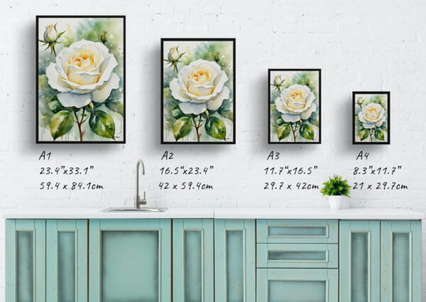 watercolour botanical print flowers white rose print size comparison