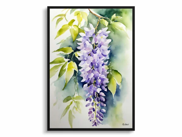 watercolour botanical print flowers wisteria x valderi front view