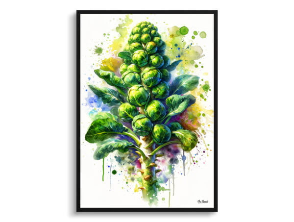 watercolour blotted flowers brassica oleraceabrussel sprouts front view