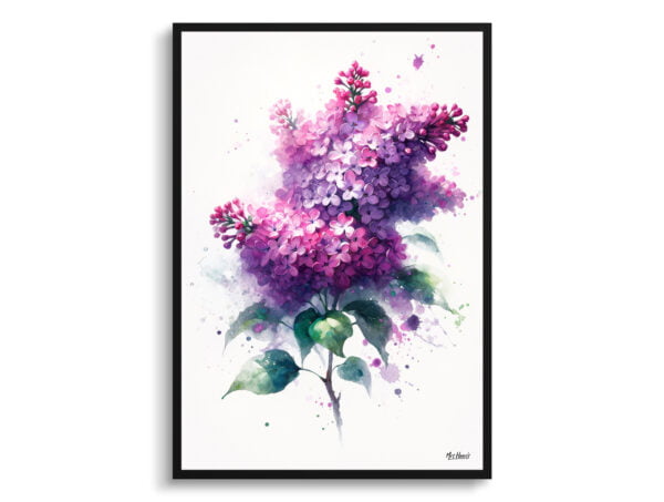 watercolour blotted flowers lilacsyringa vulgaris front view