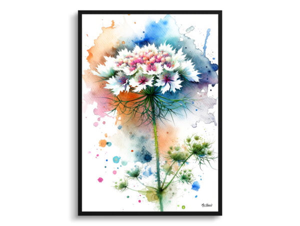 watercolour blotted flowers queen annes lacedaucus carota front view