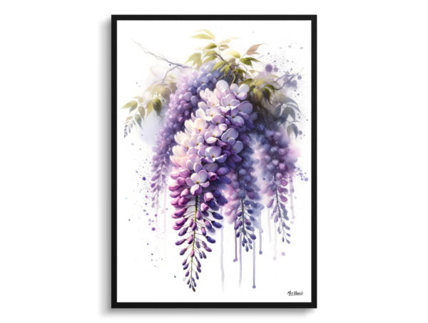 watercolour blotted flowers wisteriafabaceae front view