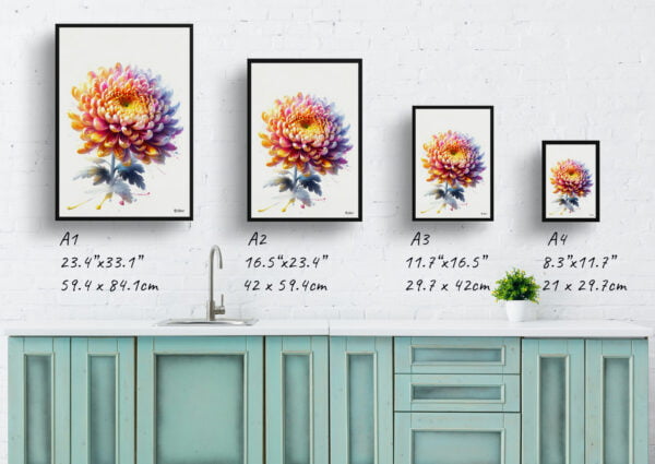 watercolour realist flowers asteraceaechrysanthemum print size comparison