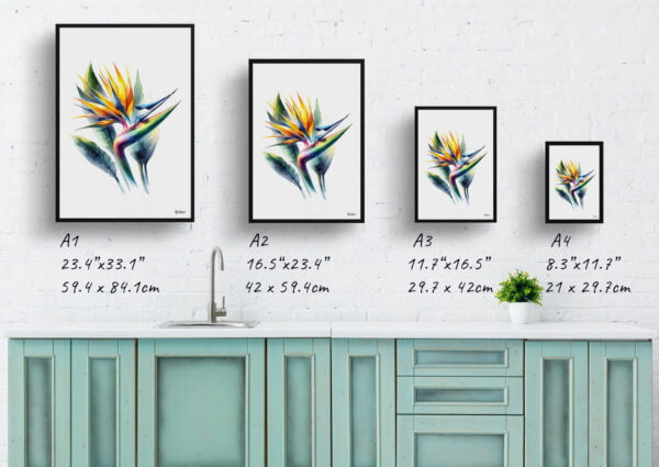 watercolour realist flowers bird of paradisestrelitzia print size comparison