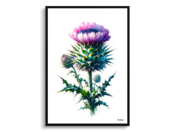 watercolour realist flowers cotton thistleonopordum front view