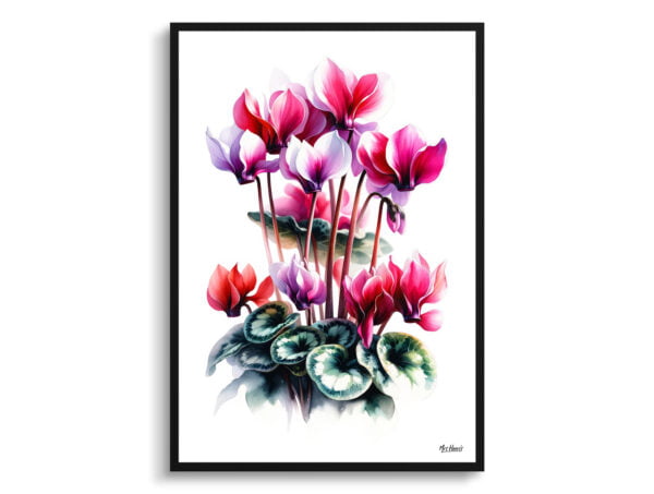 watercolour realist flowers cyclamen persicumcyclamen front view