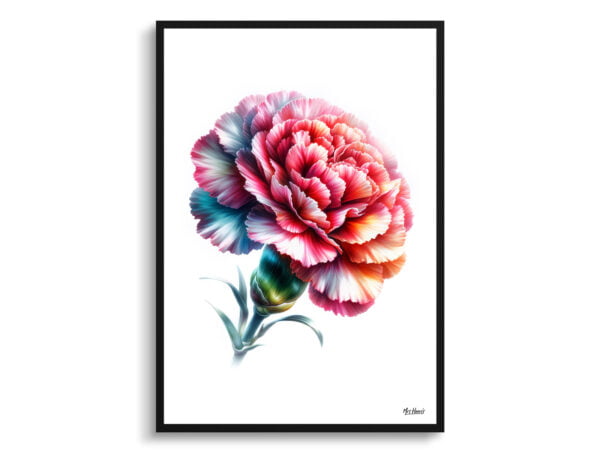 watercolour realist flowers dianthus caryophylluscarnation front view