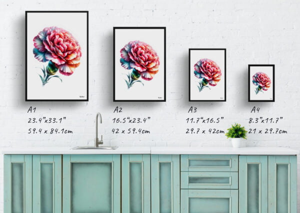 watercolour realist flowers dianthus caryophylluscarnation print size comparison