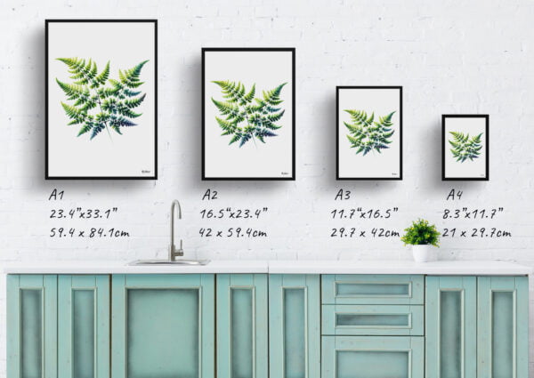 watercolour realist flowers five fingered maidenhair fernadiantum pedatum print size comparison