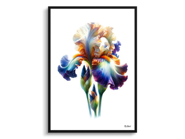 watercolour realist flowers irisfleur de lis front view