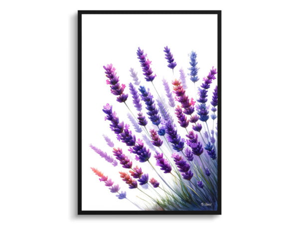 watercolour realist flowers lavenderlavendula front view