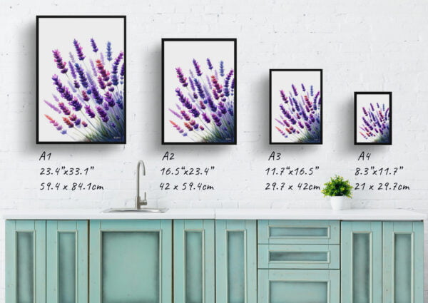 watercolour realist flowers lavenderlavendula print size comparison