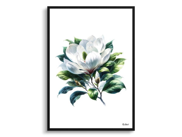 watercolour realist flowers magnoliagrandiflora front view