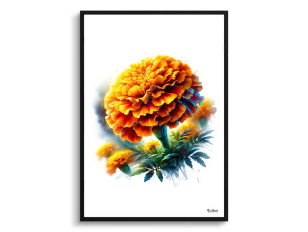 watercolour realist flowers marigoldtagetes front view