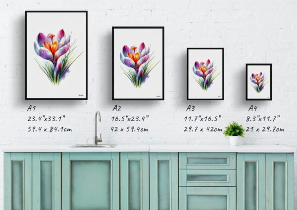 watercolour realist flowers meadow saffroncrocus print size comparison