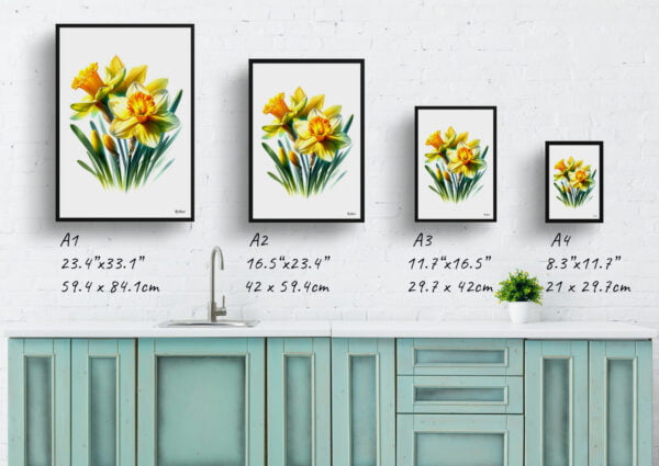 watercolour realist flowers narcissus jonquildaffodil print size comparison