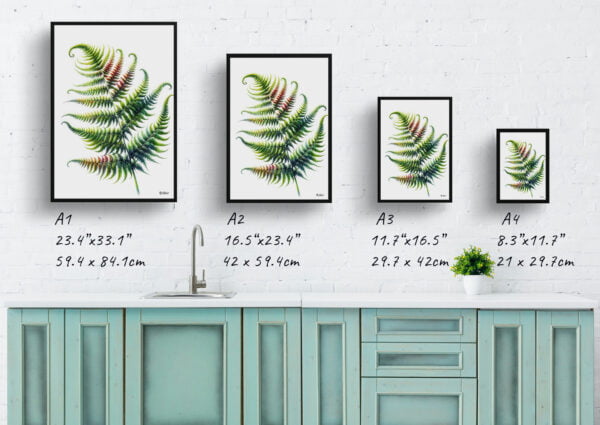 watercolour realist flowers sensitive fernonoclea print size comparison