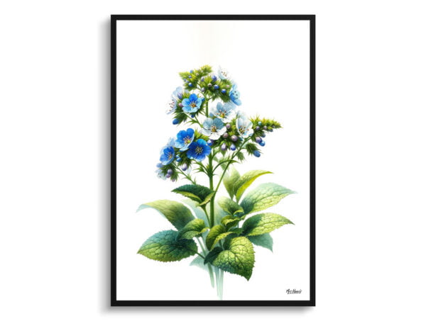 watercolour realist flowers siberian buglossbrunnera macrophylla front view