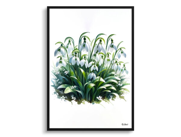 watercolour realist flowers snowdropgalanthus front view