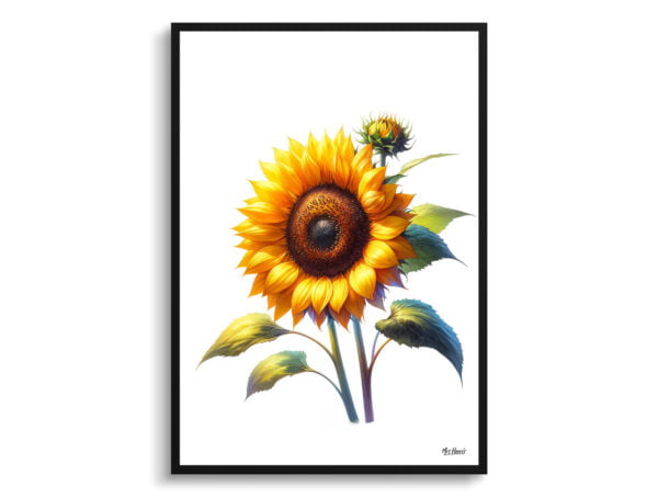 watercolour realist flowers sunflowerhelianthus annuus front view