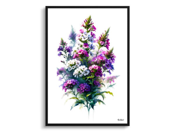 watercolour realist flowers sweet rockethesperis matronalis front view