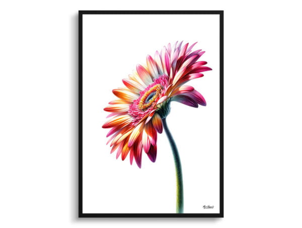 watercolour realist flowers transvaal daisygerbera front view