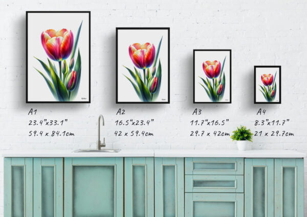 watercolour realist flowers tuliptulipa print size comparison