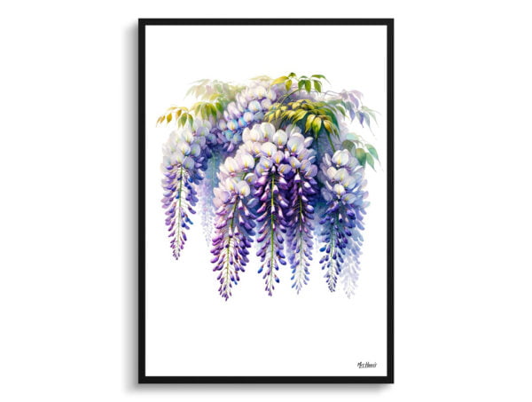 watercolour realist flowers wisteriafabaceae front view