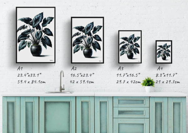 watercolour realist home plants black velvet alocasiaalocasia reginula print size comparison