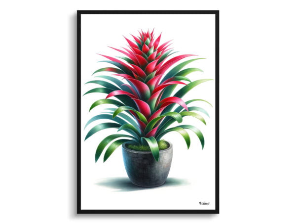 watercolour realist home plants bromeliadsbromeliaceae front view